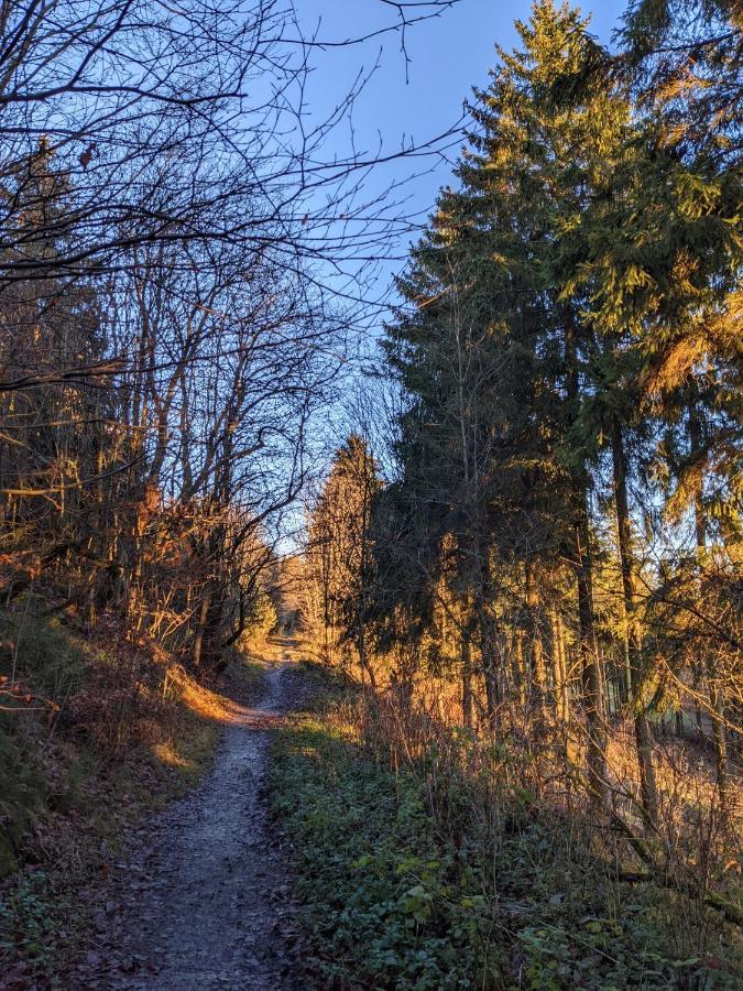 Zentrale Und Gemuetliche Ferienwohnung In Winterberg Nah An Der Natur Eksteriør billede