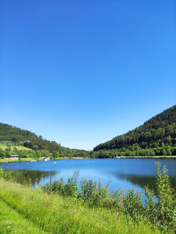 Zentrale Und Gemuetliche Ferienwohnung In Winterberg Nah An Der Natur Eksteriør billede