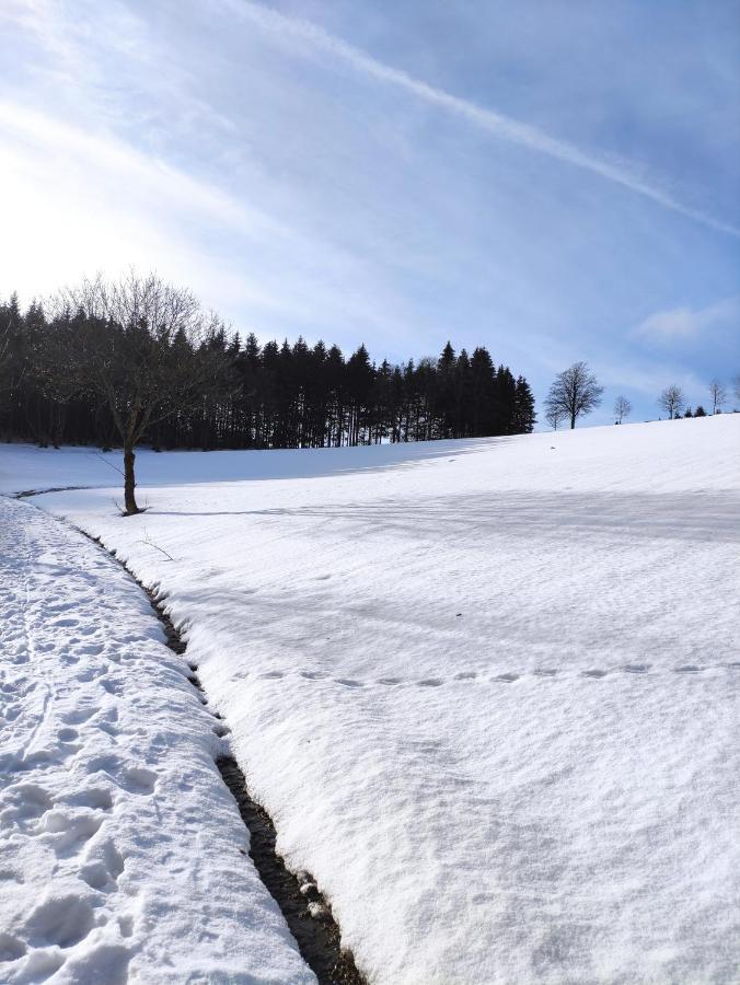 Zentrale Und Gemuetliche Ferienwohnung In Winterberg Nah An Der Natur Eksteriør billede